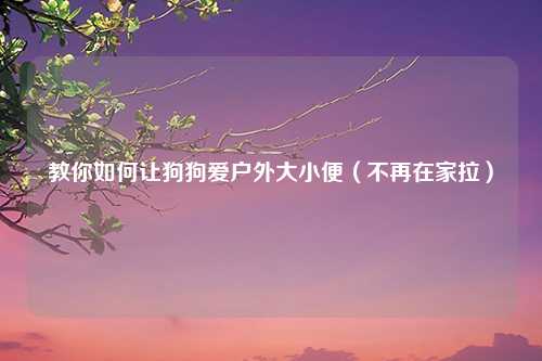 教你如何让狗狗爱户外大小便（不再在家拉）