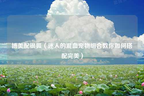 博美配银狐（迷人的混血宠物组合教你如何搭配完美）