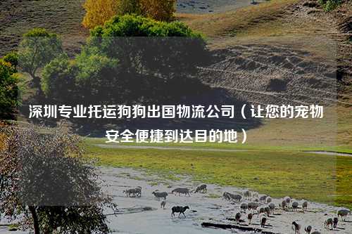 深圳专业托运狗狗出国物流公司（让您的宠物安全便捷到达目的地）