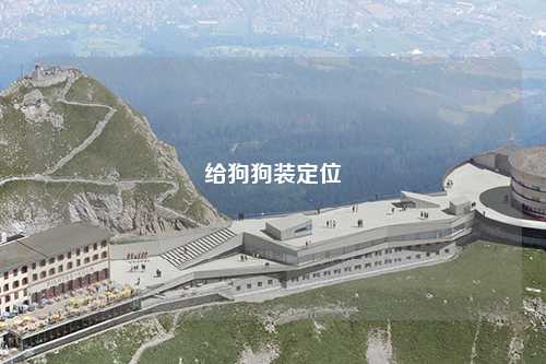 给狗狗装定位