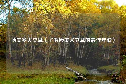 博美多大立耳（了解博美犬立耳的最佳年龄）