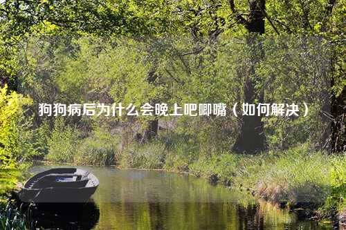 狗狗病后为什么会晚上吧唧嘴（如何解决）