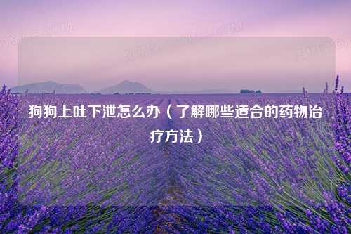 狗狗上吐下泄怎么办（了解哪些适合的药物治疗方法）