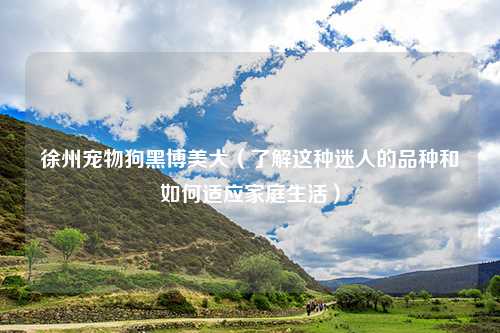 徐州宠物狗黑博美犬（了解这种迷人的品种和如何适应家庭生活）