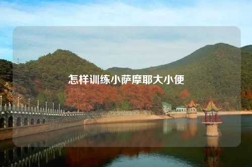 怎样训练小萨摩耶大小便