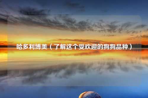 哈多利博美（了解这个受欢迎的狗狗品种）