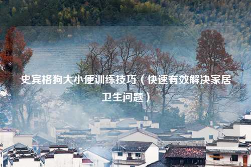 史宾格狗大小便训练技巧（快速有效解决家居卫生问题）
