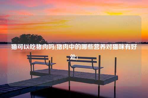 猫可以吃猪肉吗(猪肉中的哪些营养对猫咪有好处)