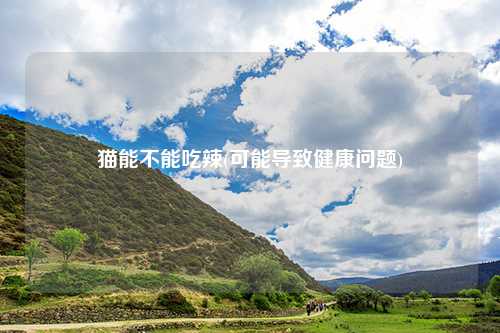 猫能不能吃辣(可能导致健康问题)