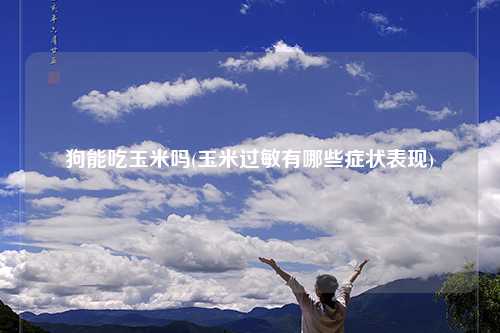 狗能吃玉米吗(玉米过敏有哪些症状表现)