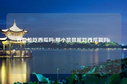 仓鼠能吃西瓜吗(那小鼠鼠能吃西瓜瓤吗)