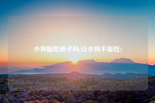 小狗能吃柿子吗(让小狗不能吃)