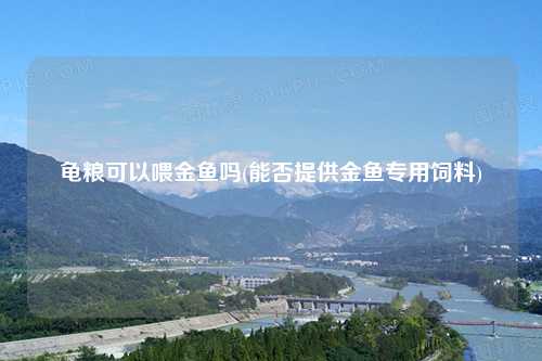 龟粮可以喂金鱼吗(能否提供金鱼专用饲料)