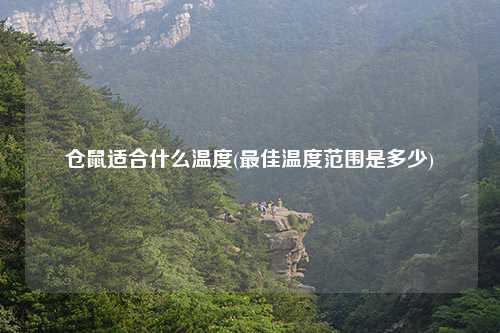 仓鼠适合什么温度(最佳温度范围是多少)