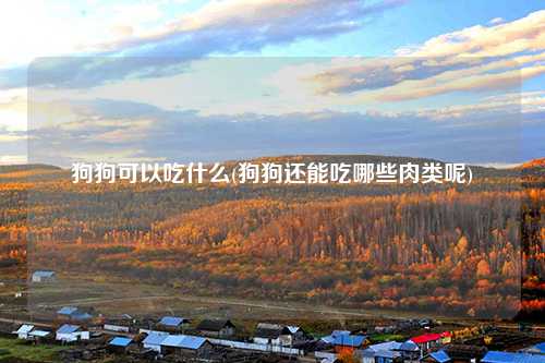 狗狗可以吃什么(狗狗还能吃哪些肉类呢)