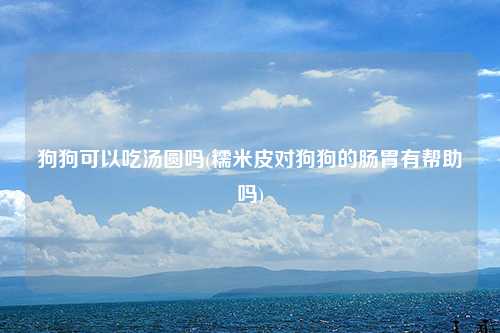狗狗可以吃汤圆吗(糯米皮对狗狗的肠胃有帮助吗)