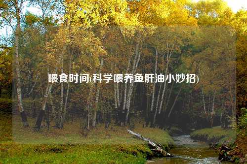 喂食时间(科学喂养鱼肝油小妙招)