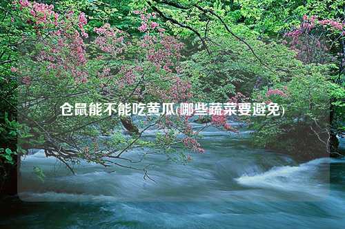 仓鼠能不能吃黄瓜(哪些蔬菜要避免)