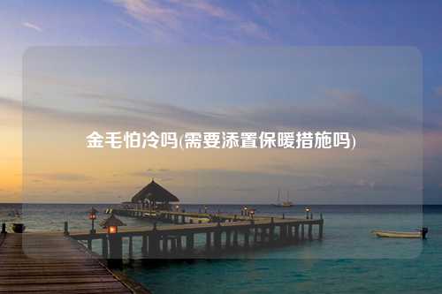 金毛怕冷吗(需要添置保暖措施吗)