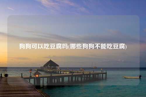 狗狗可以吃豆腐吗(哪些狗狗不能吃豆腐)