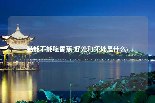 猫能不能吃香蕉(好处和坏处是什么)