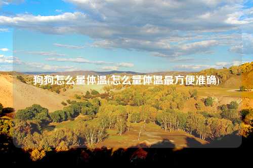 狗狗怎么量体温(怎么量体温最方便准确)