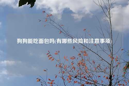 狗狗能吃面包吗(有哪些风险和注意事项)