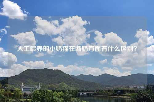 人工喂养的小奶猫在断奶方面有什么区别？