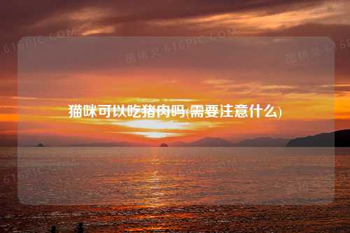 猫咪可以吃猪肉吗(需要注意什么)