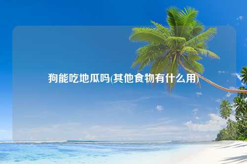 狗能吃地瓜吗(其他食物有什么用)