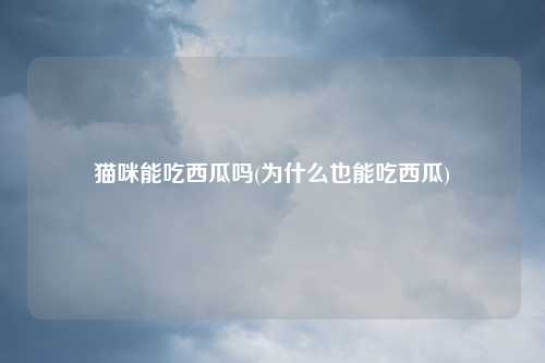 猫咪能吃西瓜吗(为什么也能吃西瓜)