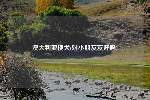 澳大利亚梗犬(对小朋友友好吗)