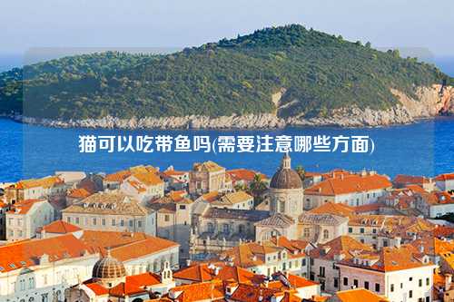 猫可以吃带鱼吗(需要注意哪些方面)