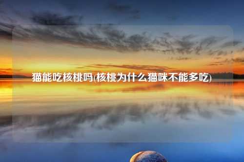 猫能吃核桃吗(核桃为什么猫咪不能多吃)
