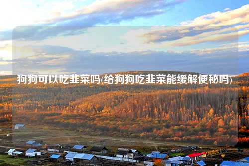狗狗可以吃韭菜吗(给狗狗吃韭菜能缓解便秘吗)