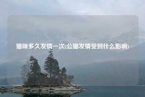 猫咪多久发情一次(公猫发情受到什么影响)